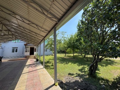 image 423894